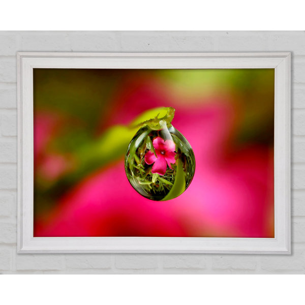 Ebern Designs Reflexion Einer Rosa Blume Druck Wayfair De